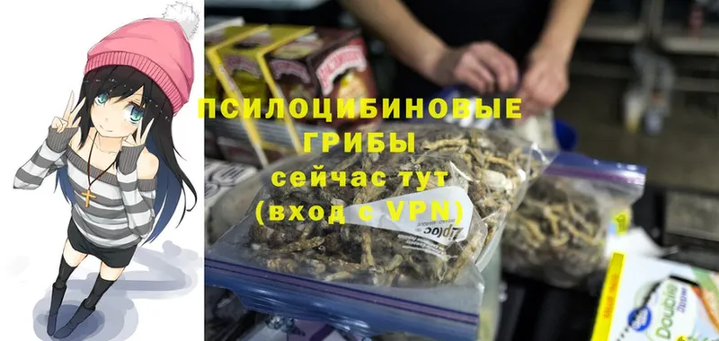 Галлюциногенные грибы Psilocybe Белогорск